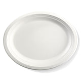 12.5x10" white oval bagasse disposable plates